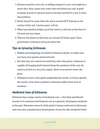 Page 134
Learn Herbal
1. Echinacea prefers rich soil, so adding compost to your soil might be a
smart idea. Also, make sure water does not flood your soil. A good
drainage system is required and an elevated soil bed is a way to solve
that problem.
2. Seeds should be sown when the soil is around 60°F. Sowing on the
surface of the soil, 2 inches apart, will do.
3. When germination begins, push the seeds or add soil so that there is
1/8 inch soil over them.
4. Thin out the plants so that they are around 20 inches apart. Once
germinated, echinacea will grow fairly fast.
Tips on Growing Echinacea
Rabbits and hedgehogs are fond of echinacea shoots, so make sure
you have your garden protected well.
See that they are watered as seeds but, after they grow, echinacea is
capable of keeping itself watered from the moisture of the rain. So
unless you live in a very dry region, there is no need to water the
plant.
Echinacea is not a very good competition for weeds, so if your garden
has weeds, clear them up before echinacea suffers from lack of
moisture.
Medicinal Uses of Echinacea
Echinacea has a large variety of medicinal uses - a fact that contributed
heavily to its common and frequent use as a general, all-purpose medicine
in the past. Extensive research of the plant is being conducted in Germany
and even now scientists have found plenty of uses for this wonderful herb.
 