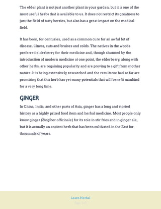 Page 145
Learn Herbal
The elder plant is not just another plant in your garden, but it is one of the
most useful herbs that is available to us. It does not restrict its greatness to
just the field of tasty berries, but also has a great impact on the medical
field.
It has been, for centuries, used as a common cure for an awful lot of
disease, illness, cuts and bruises and colds. The natives in the woods
preferred elderberry for their medicine and, though shunned by the
introduction of modern medicine at one point, the elderberry, along with
other herbs, are regaining popularity and are proving to a gift from mother
nature. It is being extensively researched and the results we had so far are
promising that this herb has yet many potentials that will benefit mankind
for a very long time.
GINGER
In China, India, and other parts of Asia, ginger has a long and storied
history as a highly prized food item and herbal medicine. Most people only
know ginger (Zingiber officinale) for its role in stir fries and in ginger ale,
but it is actually an ancient herb that has been cultivated in the East for
thousands of years.
 