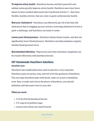 Page 158
Learn Herbal
Hawthorn berries and their powerful anti-
oxidant action greatly improve artery health. Hawthorn users have been
shown to have avoided atherosclerosis (‘hardened arteries”) – they have
flexible, healthy arteries, that are a key to good cardiovascular health.
To improve artery health -
Hawthorn can effectively get rid of the bad LDL
cholesterol that is clogging up your arteries. Lowering cholesterol levels is
quite a challenge, and hawthorn can make it easier.
Bust your cholesterol -
Hawthorn dilates blood vessels, and this can
significantly lower blood pressure. Hawthorn can help maintain a regular,
healthy blood pressure level.
Lowers your blood pressure -
Tapeworms and other intestinal complaints can
be treated effectively with hawthorn berries.
Bust intestinal infections -
DIY Homemade Hawthorn Solutions
Hawthorn Jam
Hawthorn has traditionally been used in jams for a very long time.
Hawthorn jams are perky, tasty, and full of all the goodness of hawthorn.
You can enjoy hawthorn jams with bread, cakes or as just a standalone
treat. Easy to make and rich in the power of hawthorn, you should
definitely add this sweet treat to your diet.
What you need:
2 1/4 lb of fresh hawthorn berries
3 ¾ cups of crystalline sugar
Lemon juice (from one small lemon)
 