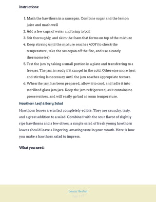 Page 159
Learn Herbal
Instructions:
1. Mash the hawthorn in a saucepan. Combine sugar and the lemon
juice and mash well
2. Add a few cups of water and bring to boil
3. Stir thoroughly, and skim the foam that forms on top of the mixture
4. Keep stirring until the mixture reaches 430F (to check the
temperature, take the saucepan off the fire, and use a candy
thermometer)
5. Test the jam by taking a small portion in a plate and transferring to a
freezer. The jam is ready if it can gel in the cold. Otherwise more heat
and stirring Is necessary until the jam reaches appropriate texture.
6. When the jam has been prepared, allow it to cool, and ladle it into
sterilized glass jam jars. Keep the jam refrigerated, as it contains no
preservatives, and will easily go bad at room temperature.
Hawthorn Leaf & Berry Salad
Hawthorn leaves are in fact completely edible. They are crunchy, tasty,
and a great addition to a salad. Combined with the sour flavor of slightly
ripe hawthorns and a few olives, a simple salad of fresh young hawthorn
leaves should leave a lingering, amazing taste in your mouth. Here is how
you make a hawthorn salad to impress.
What you need:
 