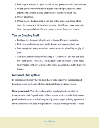 Page 162
Learn Herbal
1. Sow in pots indoors all year round, or in a greenhouse in the summer.
2. When you have several seedlings in the same pot, transfer them
together to a warm, sunny spot outside, in well-drained soil.
3. Water sparingly.
4. When flower buds appear at the tips of the shoot, nip them off in
order to encourage further leaf growth – basil flowers are generally
bitter tasting and do not have as many uses as the green leaves.
Tips on Growing Basil
Basil prefers humus rich soil, and is harmed by over-watering.
Pick little and often as soon as the leaves are big enough to use.
Sow new plants every month or two to maintain a healthy supply of
basil.
The most commonly grown variety is “Genovese”, but you can also
try “Bush Basil”, “Ararat”, “Kemangie” (also known as lemon basil)
and “Purple Ruffles”, which as the name suggests has ruffled, purple
leaves.
Medicinal Uses of Basil
In common with many herbs, basil has a wide variety of medicinal and
healing uses as well as its obvious and well known culinary uses.
- Tests have shown that inhaling basil essential oil
increases the brain’s production of beta waves, which are the brainwaves
produced when you are thinking clearly, analyzing or solving a problem. It
seems that basil can help bring clarity of thought when you need it most.
Clear your mind
 