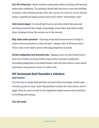 Page 163
Learn Herbal
- Basil contains compounds which can help with healing
many skin conditions. Try putting a fresh basil leaf over a wart and holding
it in place with waterproof tape. Over the course of a week or so you should
notice a significant improvement (and you’ll smell “interesting” too)!
Get rid of that wart
- Crushed basil leaves can help relieve the pain and
swelling caused by bee stings, wasp stings, insect bites and minor snake
bites, helping to draw the venom out of the wound.
Anti-venom magic
- Chewing fresh basil leaves seems to help to
relieve stress and induce a state of calm – simply chew 8-10 leaves up to
twice a day to see basil’s stress reducing properties in action.
Stay calm under pressure
Sipping water in which basil leaves
have been boiled can help soothe many minor stomach complaints,
including indigestion; as an added bonus, this will also relieve a sore throat
and help to bring down a fever in colds or flu.
Soothe indigestion and stomach ache -
DIY Homemade Basil Remedies & Solutions
Basil Poultice
Try this easy to make basil poultice on insect bites and stings, minor skin
wounds, grazes or acne. Leave the poultice in place for a few hours, and re-
apply daily for up to a week to see significant improvement and reduction
in swelling and itching.
You will need:
 