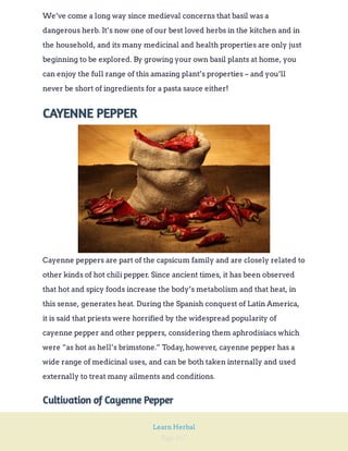 Page 167
Learn Herbal
We’ve come a long way since medieval concerns that basil was a
dangerous herb. It’s now one of our best loved herbs in the kitchen and in
the household, and its many medicinal and health properties are only just
beginning to be explored. By growing your own basil plants at home, you
can enjoy the full range of this amazing plant’s properties – and you’ll
never be short of ingredients for a pasta sauce either!
CAYENNE PEPPER
Cayenne peppers are part of the capsicum family and are closely related to
other kinds of hot chili pepper. Since ancient times, it has been observed
that hot and spicy foods increase the body’s metabolism and that heat, in
this sense, generates heat. During the Spanish conquest of Latin America,
it is said that priests were horrified by the widespread popularity of
cayenne pepper and other peppers, considering them aphrodisiacs which
were “as hot as hell’s brimstone.” Today,however, cayenne pepper has a
wide range of medicinal uses, and can be both taken internally and used
externally to treat many ailments and conditions.
Cultivation of Cayenne Pepper
 