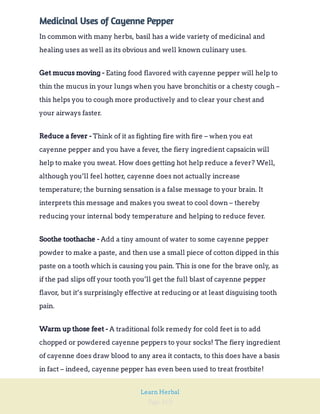 Page 169
Learn Herbal
Medicinal Uses of Cayenne Pepper
In common with many herbs, basil has a wide variety of medicinal and
healing uses as well as its obvious and well known culinary uses.
Eating food flavored with cayenne pepper will help to
thin the mucus in your lungs when you have bronchitis or a chesty cough –
this helps you to cough more productively and to clear your chest and
your airways faster.
Get mucus moving -
Think of it as fighting fire with fire – when you eat
cayenne pepper and you have a fever, the fiery ingredient capsaicin will
help to make you sweat. How does getting hot help reduce a fever? Well,
although you’ll feel hotter, cayenne does not actually increase
temperature; the burning sensation is a false message to your brain. It
interprets this message and makes you sweat to cool down – thereby
reducing your internal body temperature and helping to reduce fever.
Reduce a fever -
Add a tiny amount of water to some cayenne pepper
powder to make a paste, and then use a small piece of cotton dipped in this
paste on a tooth which is causing you pain. This is one for the brave only, as
if the pad slips off your tooth you’ll get the full blast of cayenne pepper
flavor, but it’s surprisingly effective at reducing or at least disguising tooth
pain.
Soothe toothache -
A traditional folk remedy for cold feet is to add
chopped or powdered cayenne peppers to your socks! The fiery ingredient
of cayenne does draw blood to any area it contacts, to this does have a basis
in fact – indeed, cayenne pepper has even been used to treat frostbite!
Warm up those feet -
 