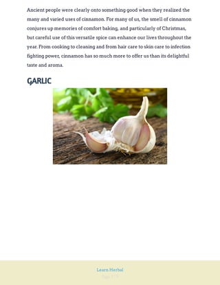 Page 179
Learn Herbal
Ancient people were clearly onto something good when they realized the
many and varied uses of cinnamon. For many of us, the smell of cinnamon
conjures up memories of comfort baking, and particularly of Christmas,
but careful use of this versatile spice can enhance our lives throughout the
year. From cooking to cleaning and from hair care to skin care to infection
fighting power, cinnamon has so much more to offer us than its delightful
taste and aroma.
GARLIC
 