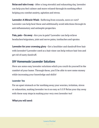 Page 188
Learn Herbal
- After a long stressful and exhausting day, lavender
can help you feel calmer and more relaxed through its soothing effect
helping you combat anxiety, agitation and stress.
Relax and take it easy
- Suffering from wounds, sores or cuts?
Lavender can help heal these and additionally avoid infections through its
anti-inflammatory and antiseptic properties.
Lavender: A Miracle Wash
- Are you in pain? Lavender can help relieve
headaches/migraines, joint and nerve pains, toothaches and sprains.
Pain, pain – Go away
- Get a healthier and dandruff-free hair
with lavender! Lavender used as a hair rinse can help reduce hair loss and
get rid of nasty dandruff.
Lavender for your crowning glory
DIY Homemade Lavender Solutions
Here are some easy lavender solutions which you could do yourself in the
comfort of your home. Through these, you’ll be able to save some money
while increasing your knowledge and skills!
Lavender Tea
For an upset stomach or for soothing away your worries, irritation, stress
or exhaustion, making lavender tea is as easy as 1-2-3! Relax your day away
with these easy steps in making your very own lavender tea!
What you will need:
 