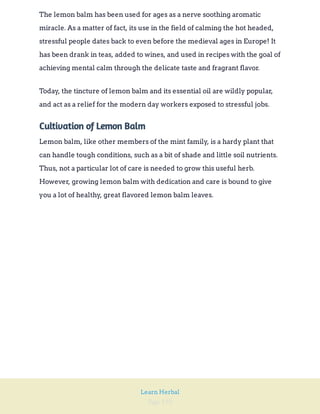 Page 193
Learn Herbal
The lemon balm has been used for ages as a nerve soothing aromatic
miracle. As a matter of fact, its use in the field of calming the hot headed,
stressful people dates back to even before the medieval ages in Europe! It
has been drank in teas, added to wines, and used in recipes with the goal of
achieving mental calm through the delicate taste and fragrant flavor.
Today, the tincture of lemon balm and its essential oil are wildly popular,
and act as a relief for the modern day workers exposed to stressful jobs.
Cultivation of Lemon Balm
Lemon balm, like other members of the mint family, is a hardy plant that
can handle tough conditions, such as a bit of shade and little soil nutrients.
Thus, not a particular lot of care is needed to grow this useful herb.
However, growing lemon balm with dedication and care is bound to give
you a lot of healthy, great flavored lemon balm leaves.
 
