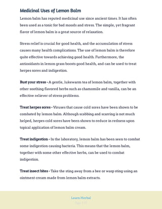 Page 195
Learn Herbal
Medicinal Uses of Lemon Balm
Lemon balm has reputed medicinal use since ancient times. It has often
been used as a tonic for bad moods and stress. The simple, yet fragrant
flavor of lemon balm is a great source of relaxation.
Stress relief is crucial for good health, and the accumulation of stress
causes many health complications. The use of lemon balm is therefore
quite effective towards achieving good health. Furthermore, the
antioxidants in lemon grass boosts good health, and can be used to treat
herpes sores and indigestion.
A gentle, lukewarm tea of lemon balm, together with
other soothing flavored herbs such as chamomile and vanilla, can be an
effective reliever of stress problems.
Bust your stress -
Viruses that cause cold sores have been shown to be
combated by lemon balm. Although scabbing and scarring is not much
helped, herpes cold sores have been shown to reduce in redness upon
topical application of lemon balm cream.
Treat herpes sores -
In the laboratory, lemon balm has been seen to combat
some indigestion causing bacteria. This means that the lemon balm,
together with some other effective herbs, can be used to combat
indigestion.
Treat indigestion -
Take the sting away from a bee or wasp sting using an
ointment cream made from lemon balm extracts.
Treat insect bites -
 
