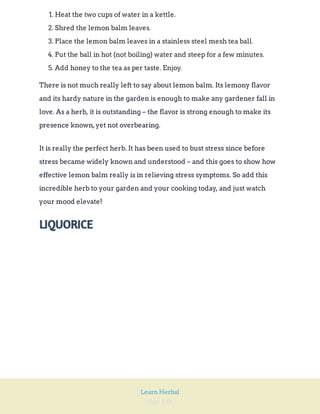 Page 198
Learn Herbal
1. Heat the two cups of water in a kettle.
2. Shred the lemon balm leaves.
3. Place the lemon balm leaves in a stainless steel mesh tea ball.
4. Put the ball in hot (not boiling) water and steep for a few minutes.
5. Add honey to the tea as per taste. Enjoy.
There is not much really left to say about lemon balm. Its lemony flavor
and its hardy nature in the garden is enough to make any gardener fall in
love. As a herb, it is outstanding – the flavor is strong enough to make its
presence known,yet not overbearing.
It is really the perfect herb. It has been used to bust stress since before
stress became widely known and understood – and this goes to show how
effective lemon balm really is in relieving stress symptoms. So add this
incredible herb to your garden and your cooking today, and just watch
your mood elevate!
LIQUORICE
 