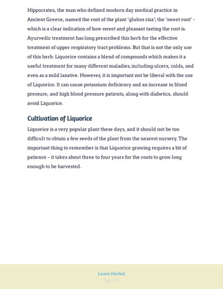 Page 200
Learn Herbal
Hippocrates, the man who defined modern day medical practice in
Ancient Greece, named the root of the plant ‘glukos riza’; the ‘sweet root’ -
which is a clear indication of how sweet and pleasant tasting the root is.
Ayurvedic treatment has long prescribed this herb for the effective
treatment of upper respiratory tract problems. But that is not the only use
of this herb. Liquorice contains a blend of compounds which makes it a
useful treatment for many different maladies,including ulcers, colds, and
even as a mild laxative. However, it is important not be liberal with the use
of Liquorice. It can cause potassium deficiency and an increase in blood
pressure, and high blood pressure patients, along with diabetics, should
avoid Liquorice.
Cultivation of Liquorice
Liquorice is a very popular plant these days, and it should not be too
difficult to obtain a few seeds of the plant from the nearest nursery. The
important thing to remember is that Liquorice growing requires a bit of
patience – it takes about three to four years for the roots to grow long
enough to be harvested.
 