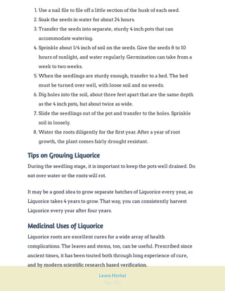 Page 201
Learn Herbal
1. Use a nail file to file off a little section of the husk of each seed.
2. Soak the seeds in water for about 24 hours.
3. Transfer the seeds into separate, sturdy 4 inch pots that can
accommodate watering.
4. Sprinkle about 1/4 inch of soil on the seeds. Give the seeds 8 to 10
hours of sunlight, and water regularly. Germination can take from a
week to two weeks.
5. When the seedlings are sturdy enough, transfer to a bed. The bed
must be turned over well, with loose soil and no weeds.
6. Dig holes into the soil, about three feet apart that are the same depth
as the 4 inch pots, but about twice as wide.
7. Slide the seedlings out of the pot and transfer to the holes. Sprinkle
soil in loosely.
8. Water the roots diligently for the first year. After a year of root
growth, the plant comes fairly drought resistant.
Tips on Growing Liquorice
During the seedling stage, it is important to keep the pots well drained. Do
not over water or the roots will rot.
It may be a good idea to grow separate batches of Liquorice every year, as
Liquorice takes 4 years to grow. That way, you can consistently harvest
Liquorice every year after four years.
Medicinal Uses of Liquorice
Liquorice roots are excellent cures for a wide array of health
complications. The leaves and stems, too, can be useful. Prescribed since
ancient times, it has been touted both through long experience of cure,
and by modern scientific research based verification.
 