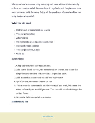 Page 210
Learn Herbal
Marshmallow leaves are tasty, crunchy and have a flavor that can truly
enhance a creative salad. You can have it regularly, and the pleasant taste
soon becomes habit forming. Enjoy all the goodness of marshmallow in a
tasty, invigorating salad.
What you will need:
Half a bowl of marshmallow leaves
Two large tomatoes
A few olives
1/2 cup finely grated parmesan cheese
onions chopped in rings
Two large carrots, diced
Olive oil
Instructions:
1. Chop the tomatoes into rough dices.
2. Add in the diced carrots, the marshmallow leaves, the olives the
ringed onions and the tomatoes in a large salad bowl.
3. Add a liberal dash of olive oil and toss vigorously.
4. Sprinkle the parmesan cheese on top.
5. You may add a commercial salad dressing if you wish, but these are
often unhealthy so avoid if you can. You can add a dash of vinegar for
added flavor.
6. Serve the delicious salad as a starter.
Marshmallow Tea
 