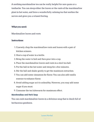 Page 211
Learn Herbal
A soothing marshmallow tea can be really helpful for sore gums or a
toothache. You can steep either the leaves or the roots of the marshmallow
plant in hot water, and brew a wonderfully calming tea that soothes the
nerves and gives you a relaxed feeling.
What you need:
Marshmallow leaves and roots
Instructions:
1. Coarsely chop the marshmallow roots and leaves with a pair of
kitchen scissors.
2. Heat a cup of water in a kettle.
3. Bring the water to boil and then pour into a cup.
4. Place the marshmallow leaves and roots in a steel tea ball.
5. Put the ball in the hot water and steep for a few minutes.
6. Stir the ball and shake gently to get the maximum extraction.
7. You can add some cinnamon for flavor. You can also add vanilla
essence to enhance flavor.
8. Avoid adding sugar as it is unhealthy. However, you may add some
sugar if you must.
9. Consume the tea lukewarm for maximum effect.
Marshmallow and Herb Soup
You can cook marshmallow leaves in a delicious soup that is chock full of
herbaceous goodness.
 