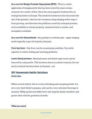 Page 216
Learn Herbal
This is a useful
application of stinging nettle that has been touted by some serious
research. As a matter of fact, this is the more popular treatment for an
enlarged prostate in Europe. The medical treatment in fact decreases the
size of the prostate, whereas the treatment using stinging nettle stops it
from growing, and alleviates the problems caused by enlarged prostate,
such as inability to urinate properly, constant desire to urinate, and
incomplete urination.
As a cure for Benign Prostatic Hyperplasia (BPH) -
Say goodbye to arthritic pain – apply stinging
nettle topically to get rid of pesky joint pain.
As a cure for Osteoarthritis -
Hay fever can be an annoying condition. Use nettle
capsules to relieve itching and sneezing problems.
Cure hay fever -
Blood pressure and blood sugar levels can be
lowered by using nettle. This has been shown in animal research, but not
much research has been done on humans – yet.
Lower blood pressure -
DIY Homemade Nettle Solutions
Nettle Beer
When served chilled, this is a truly refreshing and energizing drink. It is
not a very hard drink to prepare, and can be a very welcome beverage in
summer. Whip up this incredible brew and surprise family members and
guests alike with the goodness of nettle.
What you need:
 