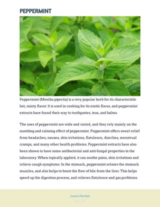 Page 220
Learn Herbal
PEPPERMINT
Peppermint (Mentha piperita) is a very popular herb for its characteristic
hot, minty flavor. It is used in cooking for its exotic flavor, and peppermint
extracts have found their way to toothpastes, teas, and balms.
The uses of peppermint are wide and varied, and they rely mainly on the
numbing and calming effect of peppermint. Peppermint offers sweet relief
from headaches, nausea, skin irritations, flatulence, diarrhea, menstrual
cramps, and many other health problems. Peppermint extracts have also
been shown to have some antibacterial and anti-fungal properties in the
laboratory. When topically applied, it can soothe pains, skin irritations and
relieve cough symptoms. In the stomach, peppermint relaxes the stomach
muscles, and also helps to boost the flow of bile from the liver. This helps
speed up the digestion process, and relieves flatulence and gas problems.
 