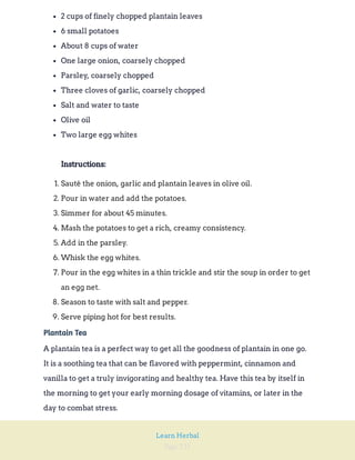 Page 231
Learn Herbal
2 cups of finely chopped plantain leaves
6 small potatoes
About 8 cups of water
One large onion, coarsely chopped
Parsley, coarsely chopped
Three cloves of garlic, coarsely chopped
Salt and water to taste
Olive oil
Two large egg whites
Instructions:
1. Sauté the onion, garlic and plantain leaves in olive oil.
2. Pour in water and add the potatoes.
3. Simmer for about 45 minutes.
4. Mash the potatoes to get a rich, creamy consistency.
5. Add in the parsley.
6. Whisk the egg whites.
7. Pour in the egg whites in a thin trickle and stir the soup in order to get
an egg net.
8. Season to taste with salt and pepper.
9. Serve piping hot for best results.
Plantain Tea
A plantain tea is a perfect way to get all the goodness of plantain in one go.
It is a soothing tea that can be flavored with peppermint, cinnamon and
vanilla to get a truly invigorating and healthy tea. Have this tea by itself in
the morning to get your early morning dosage of vitamins, or later in the
day to combat stress.
 