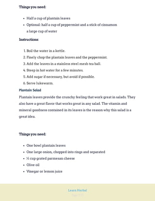 Page 232
Learn Herbal
Things you need:
Half a cup of plantain leaves
Optional: half a cup of peppermint and a stick of cinnamon
a large cup of water
Instructions:
1. Boil the water in a kettle.
2. Finely chop the plantain leaves and the peppermint.
3. Add the leaves in a stainless steel mesh tea ball.
4. Steep in hot water for a few minutes.
5. Add sugar if necessary, but avoid if possible.
6. Serve lukewarm.
Plantain Salad
Plantain leaves provide the crunchy feeling that work great in salads. They
also have a great flavor that works great in any salad. The vitamin and
mineral goodness contained in its leaves is the reason why this salad is a
great idea.
Things you need:
One bowl plantain leaves
One large onion, chopped into rings and separated
½ cup grated parmesan cheese
Olive oil
Vinegar or lemon juice
 