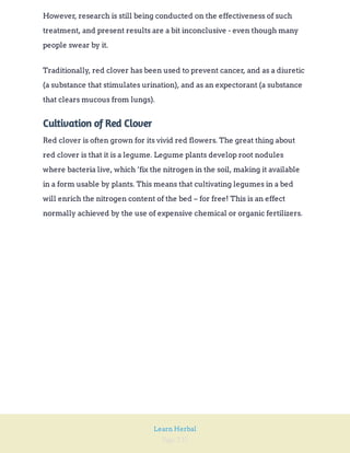 Page 235
Learn Herbal
However, research is still being conducted on the effectiveness of such
treatment, and present results are a bit inconclusive - even though many
people swear by it.
Traditionally, red clover has been used to prevent cancer, and as a diuretic
(a substance that stimulates urination), and as an expectorant (a substance
that clears mucous from lungs).
Cultivation of Red Clover
Red clover is often grown for its vivid red flowers. The great thing about
red clover is that it is a legume. Legume plants develop root nodules
where bacteria live, which ‘fix the nitrogen in the soil, making it available
in a form usable by plants. This means that cultivating legumes in a bed
will enrich the nitrogen content of the bed – for free! This is an effect
normally achieved by the use of expensive chemical or organic fertilizers.
 