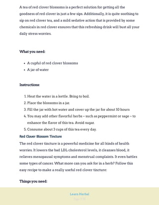 Page 238
Learn Herbal
A tea of red clover blossoms is a perfect solution for getting all the
goodness of red clover in just a few sips. Additionally, it is quite soothing to
sip on red clover tea, and a mild sedative action that is provided by some
chemicals in red clover ensures that this refreshing drink will bust all your
daily stress worries.
What you need:
A cupful of red clover blossoms
A jar of water
Instructions:
1. Heat the water in a kettle. Bring to boil.
2. Place the blossoms in a jar.
3. Fill the jar with hot water and cover up the jar for about 10 hours
4. You may add other flavorful herbs – such as peppermint or sage – to
enhance the flavor of this tea. Avoid sugar.
5. Consume about 3 cups of this tea every day.
Red Clover Blossom Tincture
The red clover tincture is a powerful medicine for all kinds of health
worries. It lowers the bad LDL cholesterol levels, it cleanses blood, it
relieves menopausal symptoms and menstrual complaints. It even battles
some types of cancer. What more can you ask for in a herb? Follow this
easy recipe to make a really useful red clover tincture:
Things you need:
 