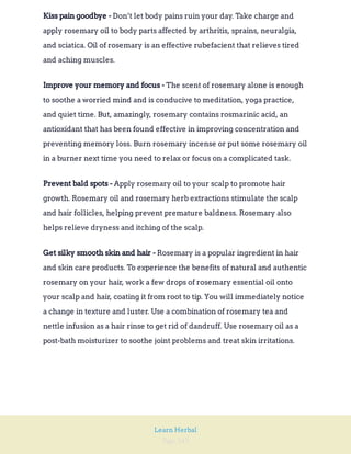 Page 243
Learn Herbal
Don’t let body pains ruin your day. Take charge and
apply rosemary oil to body parts affected by arthritis, sprains, neuralgia,
and sciatica. Oil of rosemary is an effective rubefacient that relieves tired
and aching muscles.
Kiss pain goodbye -
The scent of rosemary alone is enough
to soothe a worried mind and is conducive to meditation, yoga practice,
and quiet time. But, amazingly, rosemary contains rosmarinic acid, an
antioxidant that has been found effective in improving concentration and
preventing memory loss. Burn rosemary incense or put some rosemary oil
in a burner next time you need to relax or focus on a complicated task.
Improve your memory and focus -
Apply rosemary oil to your scalp to promote hair
growth. Rosemary oil and rosemary herb extractions stimulate the scalp
and hair follicles, helping prevent premature baldness. Rosemary also
helps relieve dryness and itching of the scalp.
Prevent bald spots -
Rosemary is a popular ingredient in hair
and skin care products. To experience the benefits of natural and authentic
rosemary on your hair, work a few drops of rosemary essential oil onto
your scalp and hair, coating it from root to tip. You will immediately notice
a change in texture and luster. Use a combination of rosemary tea and
nettle infusion as a hair rinse to get rid of dandruff. Use rosemary oil as a
post-bath moisturizer to soothe joint problems and treat skin irritations.
Get silky smooth skin and hair -
 