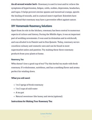 Page 244
Learn Herbal
Rosemary is used to treat and/or relieve the
symptoms of hypertension, fatigue, colds, scabies, depression, headaches,
and lupus. It helps prevent uterine spasms and menstrual cramps, speeds
the healing of wounds, and is a natural insect repellant. Scientists have
even found that rosemary may have a preventive effect against cancer.
An all-around wonder herb -
DIY Homemade Rosemary Solutions
Apart from its role in the kitchen, rosemary has been central to numerous
aspects of culture and history. During the Middle Ages, it was an important
part of wedding ceremonies. It was used in divination and in witchcraft,
and was alluded to in Hamlet and in Don Quixote. Today, rosemary serves
countless culinary and cosmetic uses and can be found in most
supermarket aisles and pantries. Try making these three rosemary
products from your plants at home.
Rosemary Tea
Who doesn’t love a good cup of tea? Try this herbal tea made with fresh
rosemary. It’s wholesome, nutritious, and has a soothing flavor and aroma
perfect for winding down.
What you will need:
1 to 2 sprigs of fresh rosemary
1 to 2 cups of cold water
A tea pot
Natural sweetener like honey and stevia (optional)
Instructions for Making Your Rosemary Tea:
 
