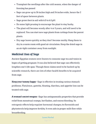 Page 250
Learn Herbal
Transplant the seedlings after the cold season, when the danger of
freezing has passed
Sage can grow up to 36 inches high and 24 inches wide, hence the 2
feet of space between plants.
Sage grows best in soil with 6.0 to 6.5 pH.
Do some light pruning to encourage the plant to stay bushy.
The plant will become woody after 4 or 5 years, and will need to be
replaced. You can start new sage plants from cuttings from the parent
plants.
Dry sage leaves quickly so they don’t become moldy. Hang them to
dry in a warm room with good air circulation. Keep the dried sage in
an air-tight container away from sunlight.
Medicinal Uses of Sage
Ancient Egyptian women were known to consume sage tea and tonics in
hopes of getting pregnant. It was also believed that sage can effectively
lengthen one’s life span. Though these claims need to be backed up by
scientific research, there are lots of other health benefits to be acquired
from sage.
Sage is effective in treating various stomach
problems. Flatulence, gastritis, bloating, diarrhea, and appetite loss can be
treated with sage.
Keep your tummy happy -
Sage has antispasmodic properties that provide
relief from menstrual cramps, hot flashes, and excess bleeding. Its
estrogenic effects help regulate hormonal changes; its flavonoids and
phytosterols help improve fertility. It even aids in proper milk flow while
breastfeeding.
A woman’s secret weapon -
 