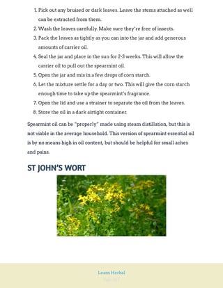 Page 261
Learn Herbal
1. Pick out any bruised or dark leaves. Leave the stems attached as well
can be extracted from them.
2. Wash the leaves carefully. Make sure they’re free of insects.
3. Pack the leaves as tightly as you can into the jar and add generous
amounts of carrier oil.
4. Seal the jar and place in the sun for 2-3 weeks. This will allow the
carrier oil to pull out the spearmint oil.
5. Open the jar and mix in a few drops of corn starch.
6. Let the mixture settle for a day or two. This will give the corn starch
enough time to take up the spearmint’s fragrance.
7. Open the lid and use a strainer to separate the oil from the leaves.
8. Store the oil in a dark airtight container.
Spearmint oil can be “properly” made using steam distillation, but this is
not viable in the average household. This version of spearmint essential oil
is by no means high in oil content, but should be helpful for small aches
and pains.
ST JOHN’S WORT
 