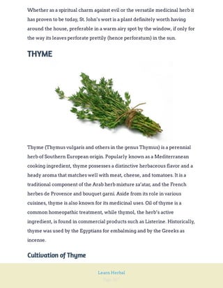 Page 267
Learn Herbal
Whether as a spiritual charm against evil or the versatile medicinal herb it
has proven to be today, St. John’s wort is a plant definitely worth having
around the house, preferable in a warm airy spot by the window, if only for
the way its leaves perforate prettily (hence perforatum) in the sun.
THYME
Thyme (Thymus vulgaris and others in the genus Thymus) is a perennial
herb of Southern European origin. Popularly known as a Mediterranean
cooking ingredient, thyme possesses a distinctive herbaceous flavor and a
heady aroma that matches well with meat, cheese, and tomatoes. It is a
traditional component of the Arab herb mixture za’atar, and the French
herbes de Provence and bouquet garni. Aside from its role in various
cuisines, thyme is also known for its medicinal uses. Oil of thyme is a
common homeopathic treatment, while thymol, the herb’s active
ingredient, is found in commercial products such as Listerine. Historically,
thyme was used by the Egyptians for embalming and by the Greeks as
incense.
Cultivation of Thyme
 