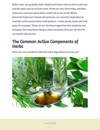 Page 26
Learn Herbal
Before now, you probably didn’t think much about what an herb really was
and the many ways it could be used. Herbs are very interesting, and their
numerous uses have given them a solid role in our world. Before
processed foods and commercial products, our ancestors depended on
what the world around them could produce – water, plants, herbs and wild
game for example. Today, we are starting to appreciate this simplicity and
recognize that sometimes things in their most basic form are the best for
our health and survival.
The Common Active Components of
Herbs
Have you ever wondered what the active ingredients in herbs are?
 