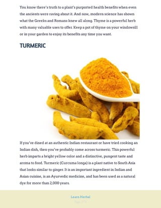 Page 274
Learn Herbal
You know there’s truth to a plant’s purported health benefits when even
the ancients were raving about it. And now, modern science has shown
what the Greeks and Romans knew all along. Thyme is a powerful herb
with many valuable uses to offer. Keep a pot of thyme on your windowsill
or in your garden to enjoy its benefits any time you want.
TURMERIC
If you’ve dined at an authentic Indian restaurant or have tried cooking an
Indian dish, then you’ve probably come across turmeric. This powerful
herb imparts a bright yellow color and a distinctive, pungent taste and
aroma to food. Turmeric (Curcuma longa) is a plant native to South Asia
that looks similar to ginger. It is an important ingredient in Indian and
Asian cuisine, is an Ayurvedic medicine, and has been used as a natural
dye for more than 2,000 years.
 