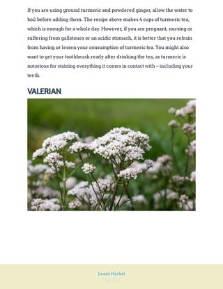 Page 282
Learn Herbal
If you are using ground turmeric and powdered ginger, allow the water to
boil before adding them. The recipe above makes 4 cups of turmeric tea,
which is enough for a whole day. However, if you are pregnant, nursing or
suffering from gallstones or an acidic stomach, it is better that you refrain
from having or lessen your consumption of turmeric tea. You might also
want to get your toothbrush ready after drinking the tea, as turmeric is
notorious for staining everything it comes in contact with – including your
teeth.
VALERIAN
 