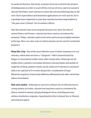 Page 285
Learn Herbal
In medieval Sweden, this hardy, aromatic herb was tucked in the pockets
of bridegrooms in order to ward off the evil eye of elves, and it is rumored
that the Pied Piper used valerian to entice the rats into following him to the
river. Such superstitious and fantastical applications are well and all, but it
is perhaps more important to note that valerian has been long dubbed as
“the poor man’s Valium” for its sedative effects.
And that should come as no surprise because ever since the time of
ancient Rome and Greece, valerian has been used as a treatment for
insomnia. Today, valerian ranks as the most used non-prescription sedative
in Europe. Here are a few ways in which valerian can be used for medicinal
purposes:
One of the most effective ways to battle insomnia is to use
valerian, which does not leave a “hangover” effect (characterized by
fatigue or drowsiness) unlike some other sleeps aides. Although not all
studies show a positive correlation between valerian intake and quality or
longevity of sleep, positive results can be achieved if valerian is consumed
daily over a period of 2-4 weeks along with a combination of hops
(Humulus lupulus), lemon balm (Melissa officianalis) and other herbs that
induce drowsiness.
Sleep like a log -
Although no concrete evidence for its effectiveness in
curing anxiety yet exists, valerian has long been used as a treatment for
illness related to anxiety and psychological stress, including nervous
asthma, headaches, migraine, hypochondria (the irrational fear or illness),
and stomach upsets.
Ease your anxiety -
 