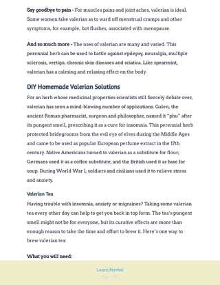 Page 286
Learn Herbal
For muscles pains and joint aches, valerian is ideal.
Some women take valerian as to ward off menstrual cramps and other
symptoms, for example, hot flushes, associated with menopause.
Say goodbye to pain -
The uses of valerian are many and varied. This
perennial herb can be used to battle against epilepsy, neuralgia, multiple
sclerosis, vertigo, chronic skin diseases and sciatica. Like spearmint,
valerian has a calming and relaxing effect on the body.
And so much more -
DIY Homemade Valerian Solutions
For an herb whose medicinal properties scientists still fiercely debate over,
valerian has seen a mind-blowing number of applications. Galen, the
ancient Roman pharmacist, surgeon and philosopher, named it “phu” after
its pungent smell, prescribing it as a cure for insomnia. This perennial herb
protected bridegrooms from the evil eye of elves during the Middle Ages
and came to be used as popular European perfume extract in the 17th
century. Native Americans turned to valerian as a substitute for flour;
Germans used it as a coffee substitute; and the British used it as base for
soup. During World War I, soldiers and civilians used it to relieve stress
and anxiety.
Valerian Tea
Having trouble with insomnia, anxiety or migraines? Taking some valerian
tea every other day can help to get you back in top form. The tea’s pungent
smell might not be for everyone, but its curative effects are more than
enough reason to take the time and effort to brew it. Here’s one way to
brew valerian tea:
What you will need:
 