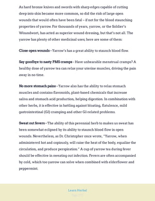 Page 291
Learn Herbal
As hard bronze knives and swords with sharp edges capable of cutting
deep into skin became more common, so did the risk of large open
wounds that would often have been fatal – if not for the blood staunching
properties of yarrow. For thousands of years, yarrow, or the Soldier’s
Woundwort, has acted as superior wound dressing, but that’s not all. The
yarrow has plenty of other medicinal uses; here are some of them:
Yarrow’s has a great ability to staunch blood flow.
Close open wounds -
- Have unbearable menstrual cramps? A
healthy dose of yarrow tea can relax your uterine muscles, driving the pain
away in no time.
Say goodbye to nasty PMS cramps
Yarrow also has the ability to relax stomach
muscles and contains flavonoids, plant-based chemicals that increase
saliva and stomach acid production, helping digestion. In combination with
other herbs, it is effective in battling against bloating, flatulence, mild
gastrointestinal (GI) cramping and other GI-related problems.
No more stomach pains -
The ability of this perennial herb to makes us sweat has
been somewhat eclipsed by its ability to staunch blood flow in open
wounds. Nevertheless, as Dr. Christopher once wrote, “Yarrow, when
administered hot and copiously, will raise the heat of the body, equalize the
circulation, and produce perspiration.” A cup of yarrow tea during fever
should be effective in sweating out infection. Fevers are often accompanied
by cold, which too yarrow can solve when combined with elderflower and
peppermint.
Sweat out fevers -
 