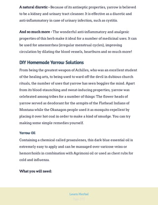 Page 292
Learn Herbal
Because of its antiseptic properties, yarrow is believed
to be a kidney and urinary tract cleanser. It is effective as a diuretic and
anti-inflammatory in case of urinary infection, such as cystitis.
A natural diuretic -
The wonderful anti-inflammatory and analgesic
properties of this herb make it ideal for a number of medicinal uses. It can
be used for amenorrhea (irregular menstrual cycles), improving
circulation by dilating the blood vessels, heartburn and so much more!
And so much more -
DIY Homemade Yarrow Solutions
From being the greatest weapon of Achilles, who was an excellent student
of the healing arts, to being used to ward off the devil in dubious church
rituals, the number of uses that yarrow has seen boggles the mind. Apart
from its blood-staunching and sweat-inducing properties, yarrow was
celebrated among tribes for a number of things: The flower heads of
yarrow served as deodorant for the armpits of the Flathead Indians of
Montana while the Okanagon people used it as mosquito repellent by
placing it over hot coal in order to make a kind of smudge. You can try
making some simple remedies yourself.
Yarrow Oil
Containing a chemical called proazulenes, this dark blue essential oil is
extremely easy to apply and can be massaged over varicose veins or
hemorrhoids in combination with Agrimoni oil or used as chest rubs for
cold and influenza.
What you will need:
 