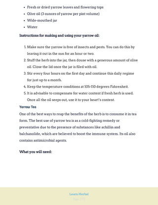 Page 293
Learn Herbal
Fresh or dried yarrow leaves and flowering tops
Olive oil (3 ounces of yarrow per pint volume)
Wide-mouthed jar
Water
Instructions for making and using your yarrow oil:
1. Make sure the yarrow is free of insects and pests. You can do this by
leaving it out in the sun for an hour or two.
2. Stuff the herb into the jar, then douse with a generous amount of olive
oil. Close the lid once the jar is filed with oil.
3. Stir every four hours on the first day and continue this daily regime
for just up to a month.
4. Keep the temperature conditions at 105-110 degrees Fahrenheit.
5. It is advisable to compensate for water content if fresh herb is used.
Once all the oil seeps out, use it to your heart’s content.
Yarrow Tea
One of the best ways to reap the benefits of the herb is to consume it in tea
form. The best use of yarrow tea is as a cold-fighting remedy or
preventative due to the presence of substances like achillin and
balchanolide, which are believed to boost the immune system. Its oil also
contains antimicrobial agents.
What you will need:
 