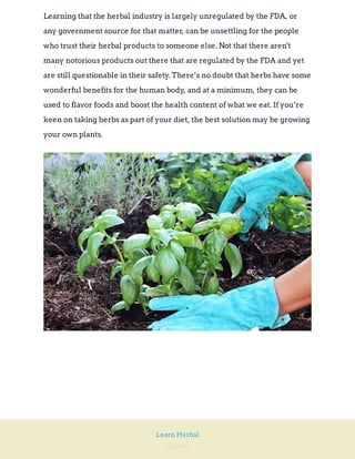 Page 40
Learn Herbal
Learning that the herbal industry is largely unregulated by the FDA, or
any government source for that matter, can be unsettling for the people
who trust their herbal products to someone else. Not that there aren't
many notorious products out there that are regulated by the FDA and yet
are still questionable in their safety. There’s no doubt that herbs have some
wonderful benefits for the human body, and at a minimum, they can be
used to flavor foods and boost the health content of what we eat. If you’re
keen on taking herbs as part of your diet, the best solution may be growing
your own plants.
 