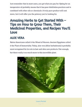 Page 83
Learn Herbal
Just remember that in most cases, you get what you pay for. Opting for an
inexpensive oil probably means that it has poor distillation practices and is
combined with other oils or chemicals. A truly pure product will cost
more, but it will offer you the potency you’re looking for.
Amazing Herbs to Get Started With –
Tips on How to Grow Them, Their
Medicinal Properties, and Recipes You'll
Love
ALOE VERA
Native Americans called it the Wand of Heaven. Ancient Egyptians called
it the Plant of Immortality. Today, aloe vera (Aloe barbadensis) is probably
most recognized for its role in hair and skin care products. Fair enough,
but there really is so much more to this incredible plant.
 
