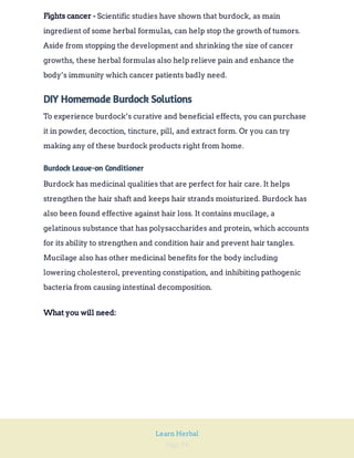 Page 94
Learn Herbal
Scientific studies have shown that burdock, as main
ingredient of some herbal formulas, can help stop the growth of tumors.
Aside from stopping the development and shrinking the size of cancer
growths, these herbal formulas also help relieve pain and enhance the
body’s immunity which cancer patients badly need.
Fights cancer -
DIY Homemade Burdock Solutions
To experience burdock’s curative and beneficial effects, you can purchase
it in powder, decoction, tincture, pill, and extract form. Or you can try
making any of these burdock products right from home.
Burdock Leave-on Conditioner
Burdock has medicinal qualities that are perfect for hair care. It helps
strengthen the hair shaft and keeps hair strands moisturized. Burdock has
also been found effective against hair loss. It contains mucilage, a
gelatinous substance that has polysaccharides and protein, which accounts
for its ability to strengthen and condition hair and prevent hair tangles.
Mucilage also has other medicinal benefits for the body including
lowering cholesterol, preventing constipation, and inhibiting pathogenic
bacteria from causing intestinal decomposition.
What you will need:
 