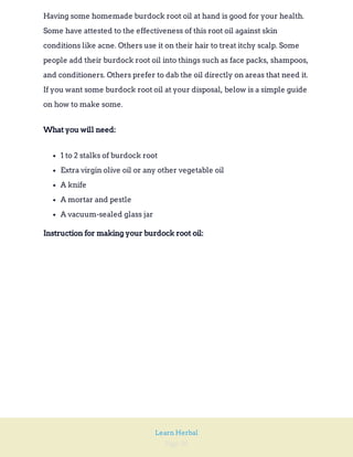 Page 96
Learn Herbal
Having some homemade burdock root oil at hand is good for your health.
Some have attested to the effectiveness of this root oil against skin
conditions like acne. Others use it on their hair to treat itchy scalp. Some
people add their burdock root oil into things such as face packs, shampoos,
and conditioners. Others prefer to dab the oil directly on areas that need it.
If you want some burdock root oil at your disposal, below is a simple guide
on how to make some.
What you will need:
1 to 2 stalks of burdock root
Extra virgin olive oil or any other vegetable oil
A knife
A mortar and pestle
A vacuum-sealed glass jar
Instruction for making your burdock root oil:
 