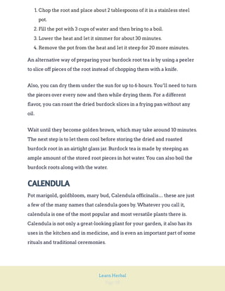 Page 98
Learn Herbal
1. Chop the root and place about 2 tablespoons of it in a stainless steel
pot.
2. Fill the pot with 3 cups of water and then bring to a boil.
3. Lower the heat and let it simmer for about 30 minutes.
4. Remove the pot from the heat and let it steep for 20 more minutes.
An alternative way of preparing your burdock root tea is by using a peeler
to slice off pieces of the root instead of chopping them with a knife.
Also, you can dry them under the sun for up to 6 hours. You’ll need to turn
the pieces over every now and then while drying them. For a different
flavor, you can roast the dried burdock slices in a frying pan without any
oil.
Wait until they become golden brown, which may take around 10 minutes.
The next step is to let them cool before storing the dried and roasted
burdock root in an airtight glass jar. Burdock tea is made by steeping an
ample amount of the stored root pieces in hot water. You can also boil the
burdock roots along with the water.
CALENDULA
Pot marigold, goldbloom, mary bud, Calendula officinalis… these are just
a few of the many names that calendula goes by. Whatever you call it,
calendula is one of the most popular and most versatile plants there is.
Calendula is not only a great-looking plant for your garden, it also has its
uses in the kitchen and in medicine, and is even an important part of some
rituals and traditional ceremonies.
 
