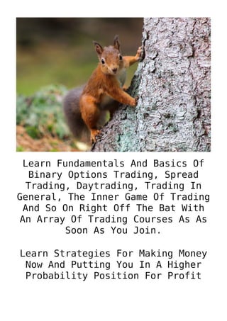 Learn Fundamentals And Basics Of
Binary Options Trading, Spread
Trading, Daytrading, Trading In
General, The Inner Game Of Trading
And So On Right Off The Bat With
An Array Of Trading Courses As As
Soon As You Join.
Learn Strategies For Making Money
Now And Putting You In A Higher
Probability Position For Profit
 