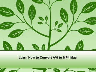 Learn How to Convert AVI to MP4 Mac
 