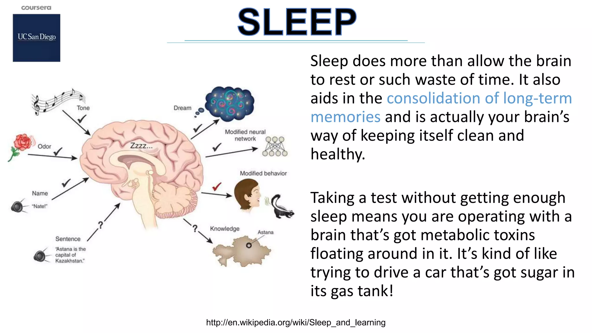 Sleep does more than allow the brain
to rest or such waste of time. It also
aids in the consolidation of long-term
memories and is actually your brain’s
way of keeping itself clean and
healthy.
Taking a test without getting enough
sleep means you are operating with a
brain that’s got metabolic toxins
floating around in it. It’s kind of like
trying to drive a car that’s got sugar in
its gas tank!
http://en.wikipedia.org/wiki/Sleep_and_learning
 