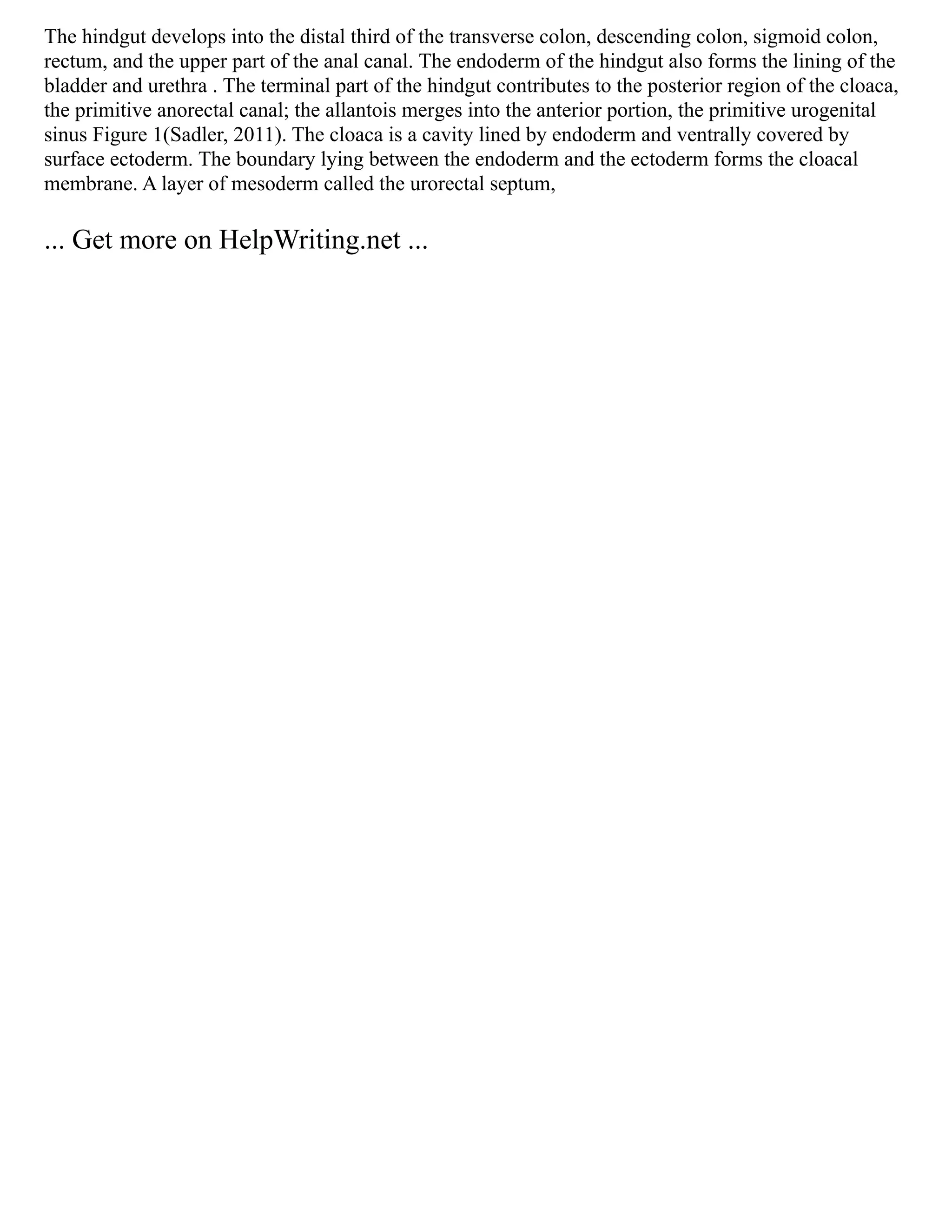 The hindgut develops into the distal third of the transverse colon, descending colon, sigmoid colon,
rectum, and the upper part of the anal canal. The endoderm of the hindgut also forms the lining of the
bladder and urethra . The terminal part of the hindgut contributes to the posterior region of the cloaca,
the primitive anorectal canal; the allantois merges into the anterior portion, the primitive urogenital
sinus Figure 1(Sadler, 2011). The cloaca is a cavity lined by endoderm and ventrally covered by
surface ectoderm. The boundary lying between the endoderm and the ectoderm forms the cloacal
membrane. A layer of mesoderm called the urorectal septum,
... Get more on HelpWriting.net ...
 