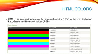 Learn html Basics | PPTX