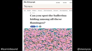 @staceycav	#learninbound	
 