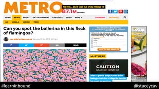 @staceycav	#learninbound	
 