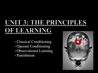 Unit 3: The Principles of Learning ,[object Object]