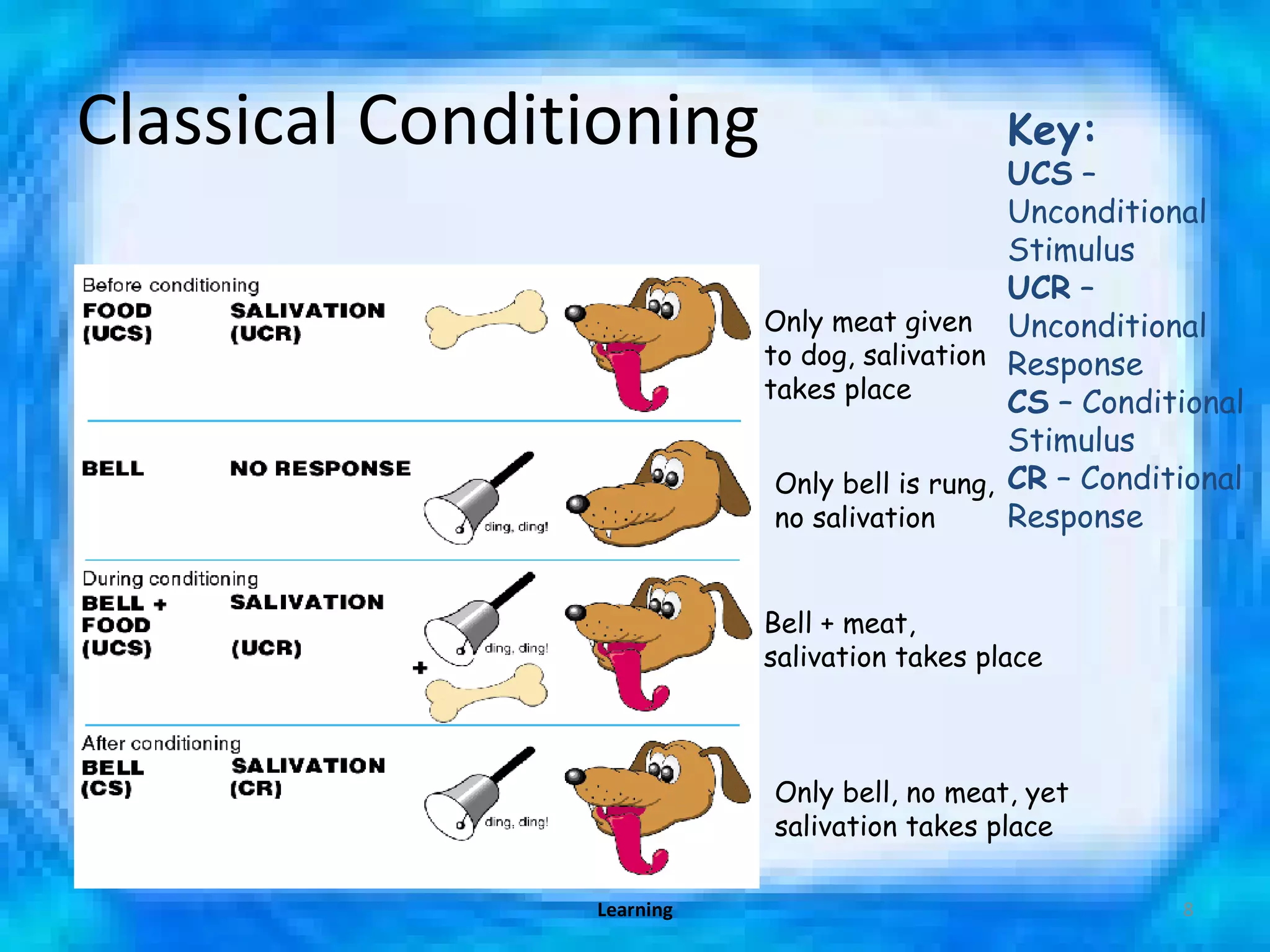 Classical Conditioning  Key: UCS  – Unconditional Stimulus UCR  – Unconditional Response CS  – Conditional Stimulus CR  – Conditional Response  Only meat given to dog, salivation takes place Only bell is rung, no salivation  Bell + meat, salivation takes place Only bell, no meat, yet salivation takes place Learning 
